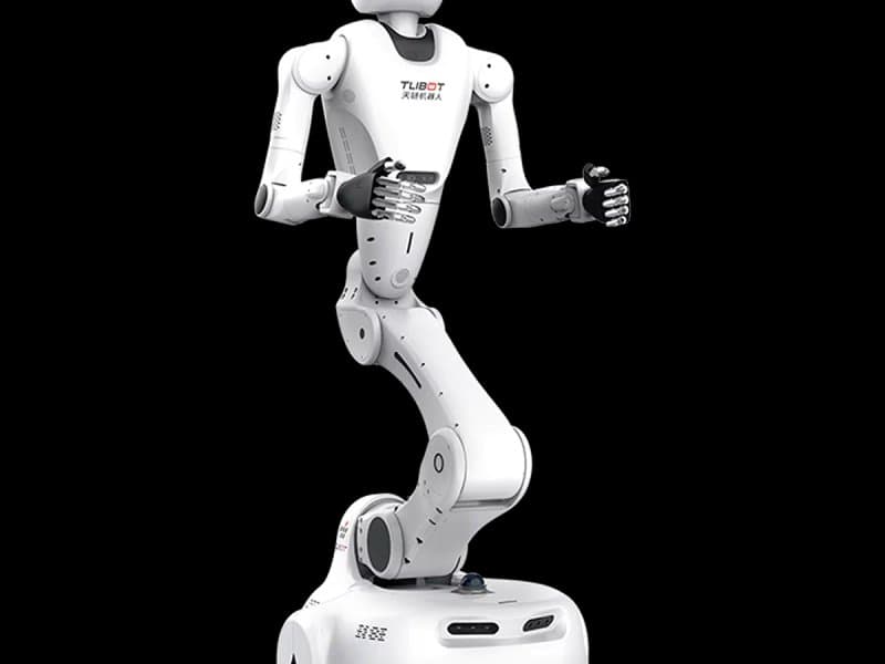 Composite Robot