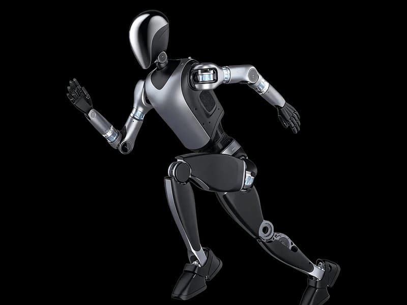 PHYBOT M1