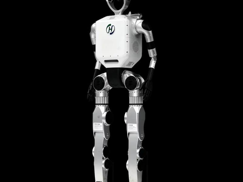 Special-purpose Humanoid