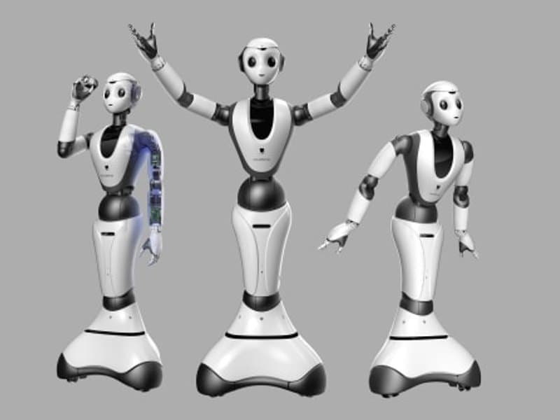 CloudMinds Ginger Guide